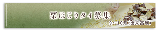 栗ほじりタイ募集