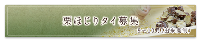 栗ほじりタイ募集